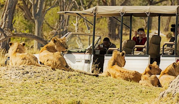Botswana's Deserts & Deltas - 8 days from $6195